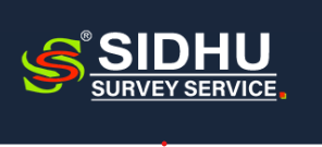 Sidhu Survey logo